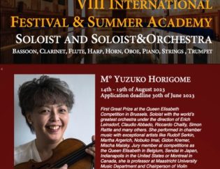 Yuzuko Horigome Workshop Brescia violonist